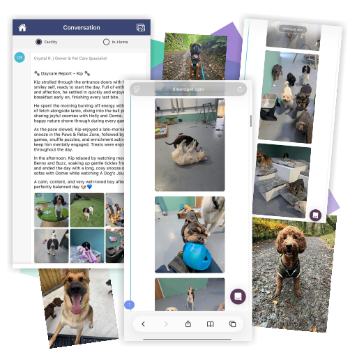 Report cards and pupdates showing you what your pet got up to